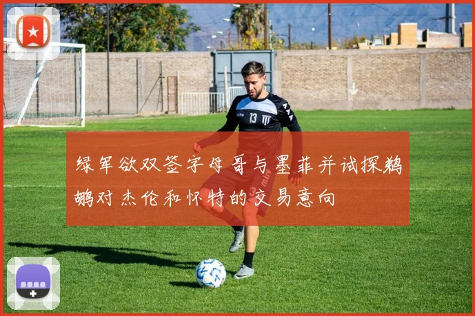 绿军欲双签字母哥与墨菲并试探鹈鹕对杰伦和怀特的交易意向